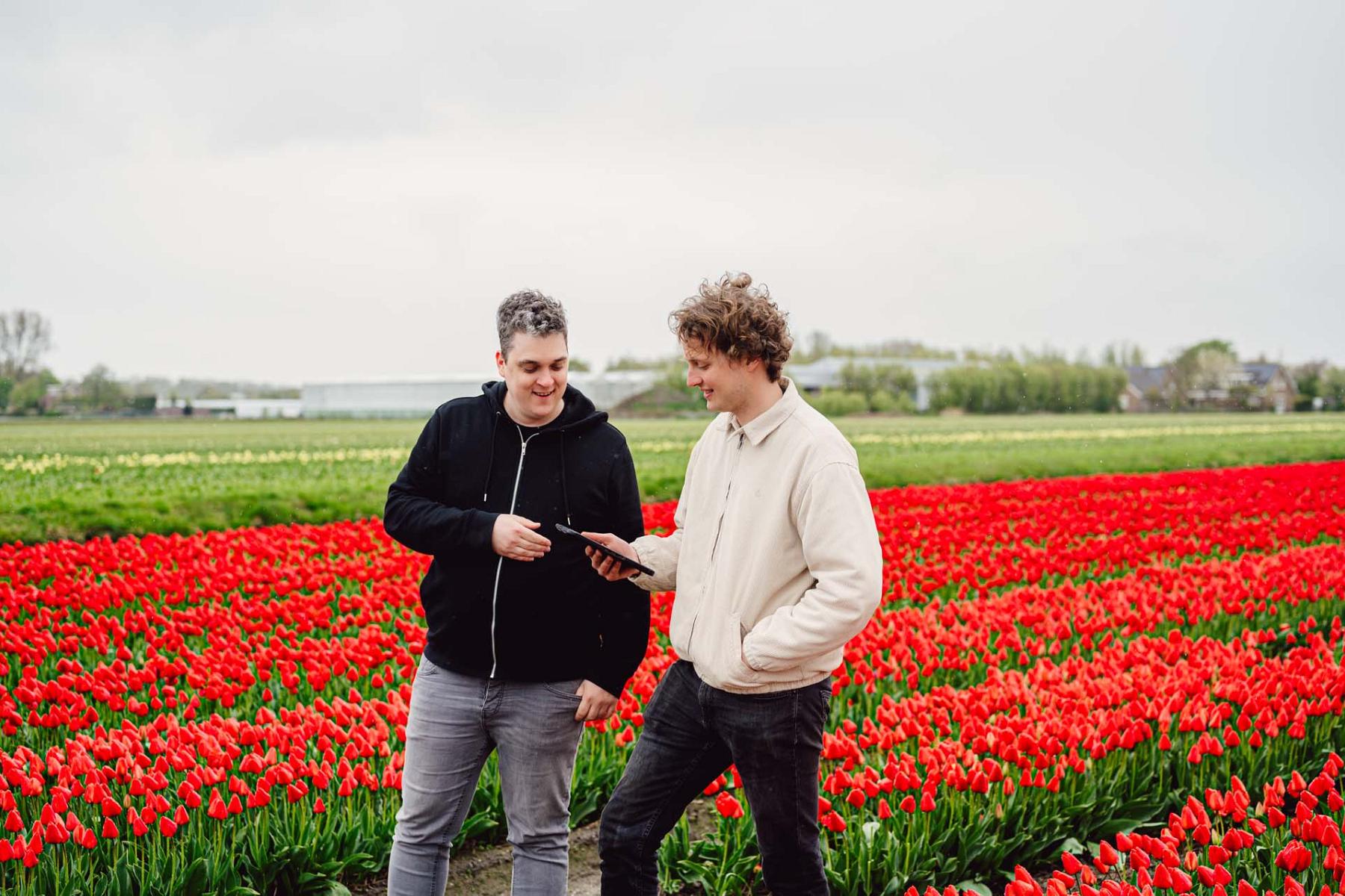 Twee mannen staan in een tulpenveld met elkaar te praten en kijken op een iPad.